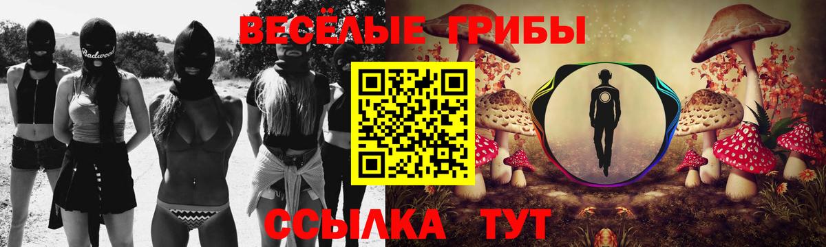 Новоуральск  Псилоцибиновые грибы Psilocybine cubensis  Вход с VPN  Псилоцибиновые грибы прущие грибы 